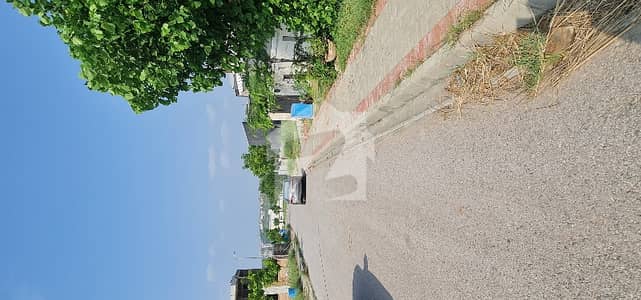 12 Marla Level Plot Near To Masjid For Sale