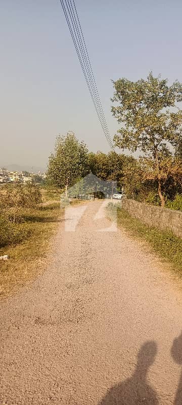 5 Kanal Land Bani Gala North For Sale Good Location