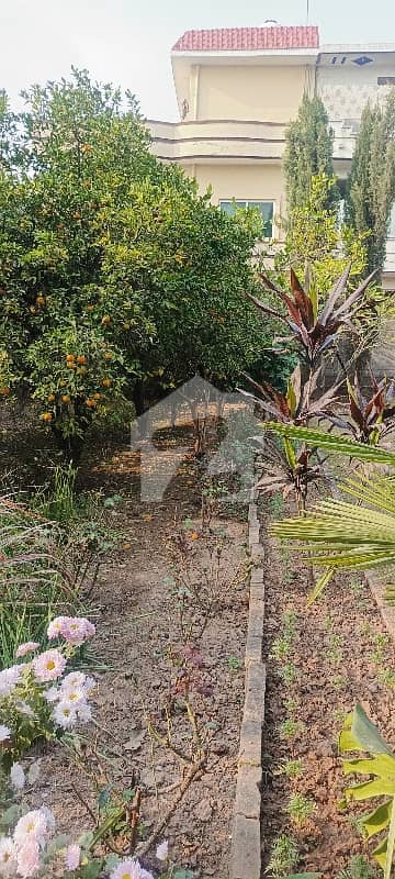 Reserve A Centrally Located House In Bhara Kahu