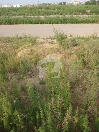 جی ۔ 14/2 جی ۔ 14,اسلام آباد میں 1 کنال رہائشی پلاٹ 5.6 کروڑ میں برائے فروخت۔