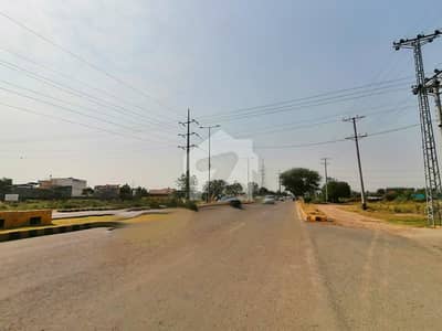 Get An Attractive Prime Location Commercial Plot In Pine Avenue Under Rs. 49500000