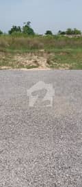 1 1