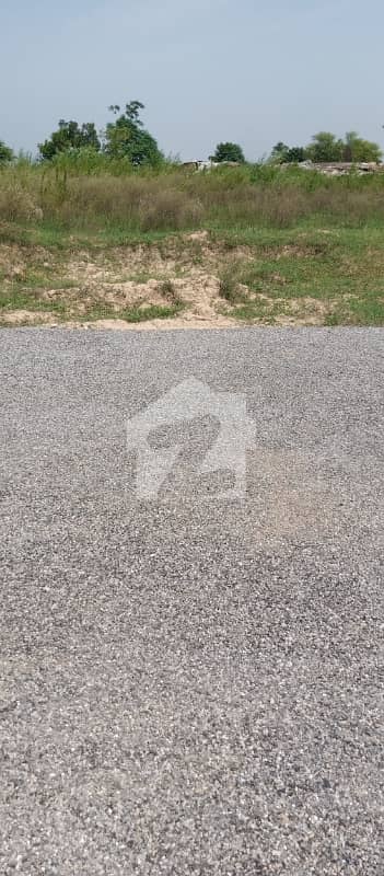 1 1
