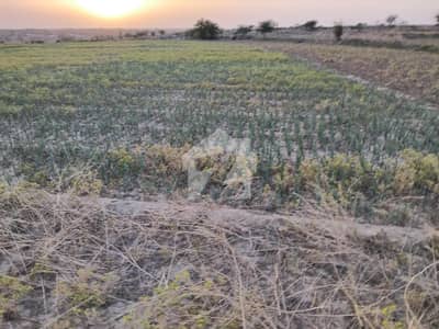 دولتالا راولپنڈی میں 1300 کنال زرعی زمین 26.0 کروڑ میں برائے فروخت۔