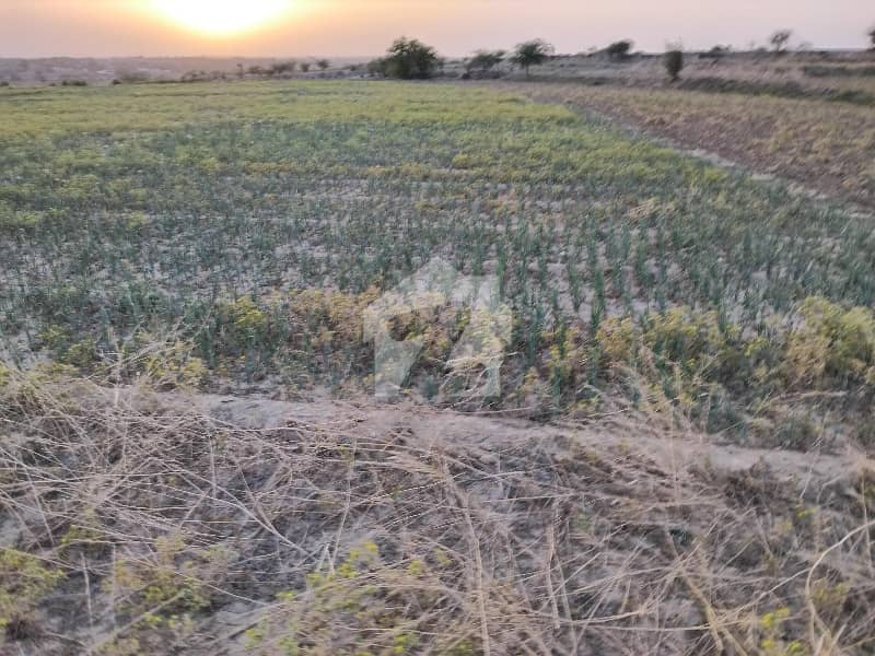 دولتالا راولپنڈی میں 1300 کنال زرعی زمین 26.0 کروڑ میں برائے فروخت۔ دولتالا راولپنڈی میں 1300 کنال زرعی زمین 26.0 کروڑ میں برائے فروخت۔