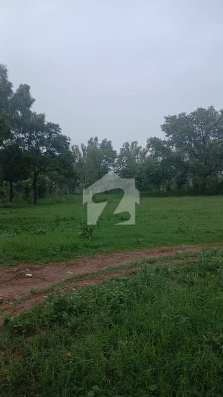 F6 Prime Location Plot Available For Sale F6 Prime Location Plot Available For Sale