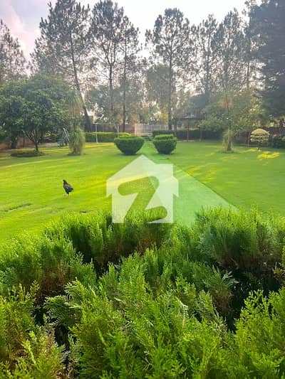 Lake View 10 Kanal Farmhouse Available For Rent With Gas Lake View 10 Kanal Farmhouse Available For Rent With Gas