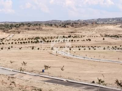 Bogenvelia 8m position and construction latter