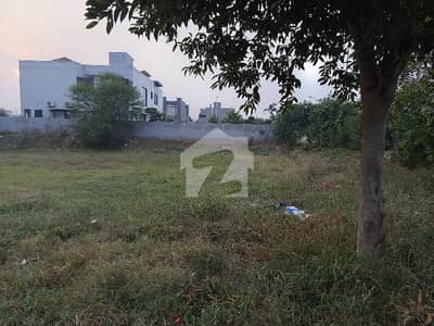 A Residential Plot At Affordable Price Awaits You