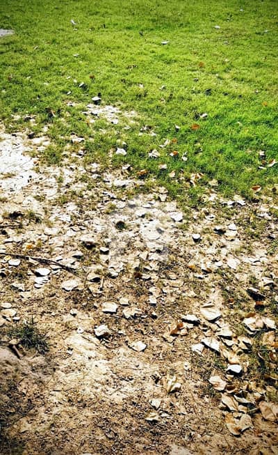 ویلینشیاء ہاؤسنگ سوسائٹی لاہور میں 2 کنال رہائشی پلاٹ 9.0 کروڑ میں برائے فروخت۔