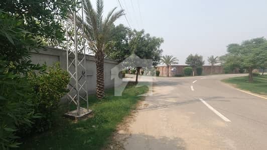 بیدیاں روڈ لاہور میں 6 کنال رہائشی پلاٹ 1.7 کروڑ میں برائے فروخت۔
