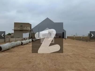 Prime Location Affordable Residential Plot For Sale In Faridi Niazi Society