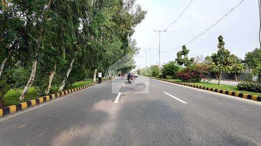 A Perfect Prime Location Commercial Plot Awaits You In Pine Avenue Pine Avenue