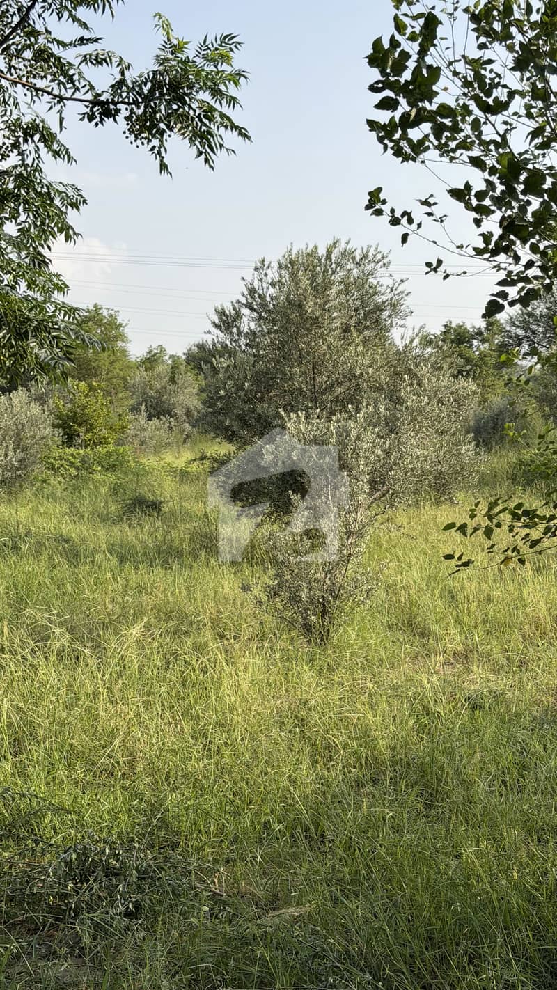 1 1