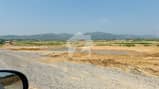 5 5