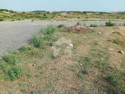 25X50 CORNER PLOT FOR SALE PLOT NO 14??