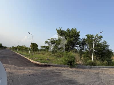 Gulberg Green Block D corner 04kanal Cutting Farmhouse Near to Possession Plot Available For Sale