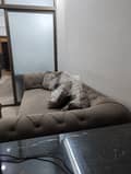 31 
