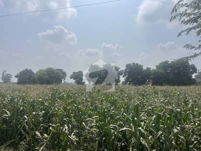 10 Acres Prime Industrial & Commercial Land For Sale Lakhanaki, Ferozepur Road