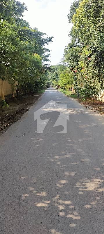 5 Marla Plot For Sale In Iqbal Avenue Sector Enclave