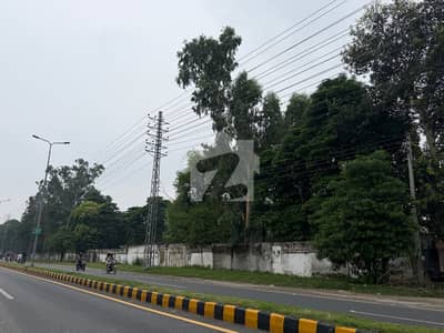 100 Marla Plot For Sale Opposite McDonalds Main Mehmood Ghaznvai Road Cantt Sialkot