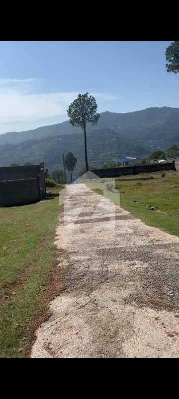 10 Marla Plot on Installments Main Murree Expressway | Ready for Possession 10 Marla Plot on Installments Main Murree Expressway | Ready for Possession