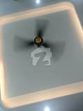 29 