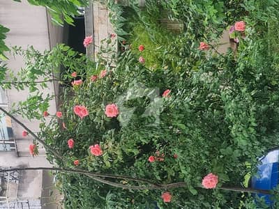 7-Marla Plot For Sale In The Most Populated Area Of Bahria Safari Valley Usman Block Rawalpindi At Investor'S Price.