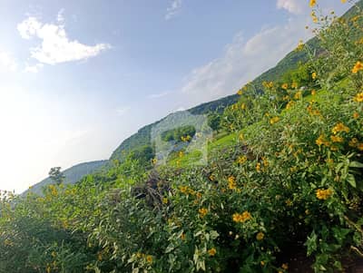2000 Kanal Land Gigna Islamabad Lehtrar Road Islamabad