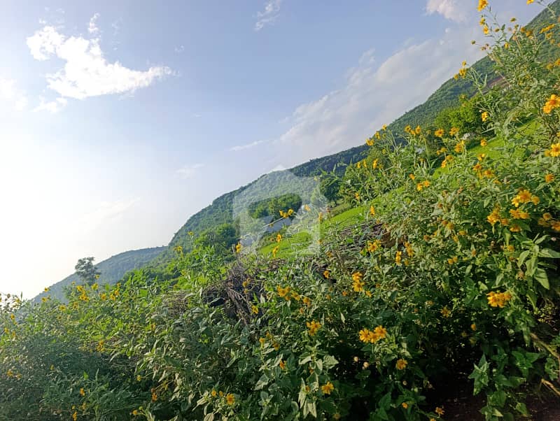 2000 Kanal Land Gigna Islamabad Lehtrar Road Islamabad 2000 Kanal Land Gigna Islamabad Lehtrar Road Islamabad