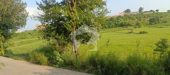 Agriculture land for form house