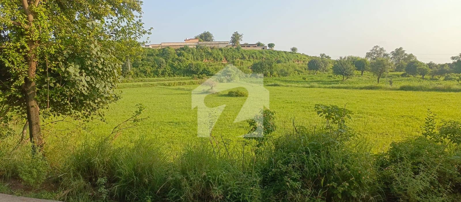 4 4