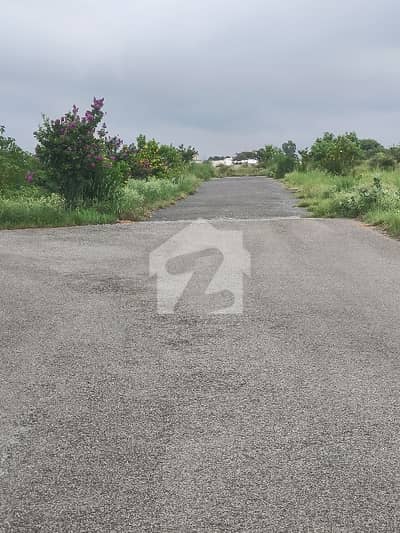 10 Marla Plot For Sale In Block E