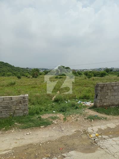 Buying A Residential Plot In Sarai Kharbuza Sarai Kharbuza?