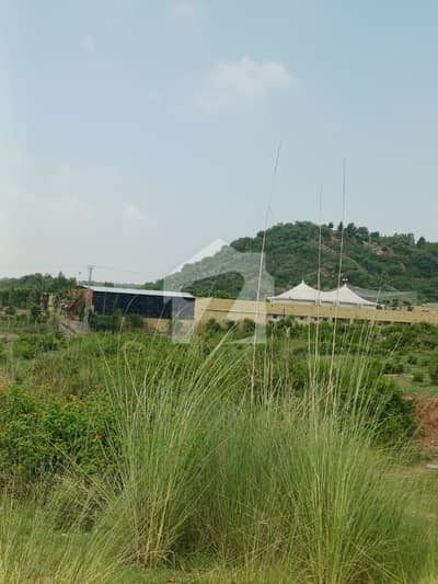 Get Your Hands On Residential Plot In Main Margalla Road Best Area