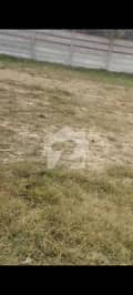1 1