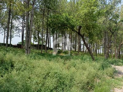 10 Kanal Commercial Plot Is Available In GT Road
