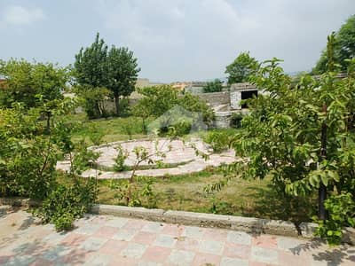 Farm House For sale In Rs. 115000000