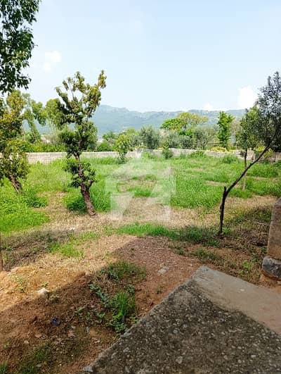 Farm House Available For Rent In Shah Allah Ditta Islamabad
