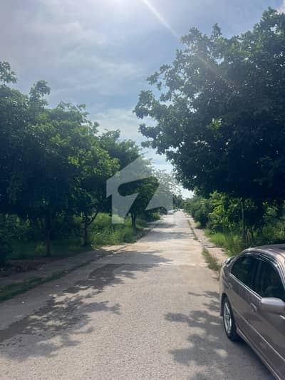 DHA Phase 2 Sector G 1 Kanal Plot Plot Sale DHA Phase 2 Sector G 1 Kanal Plot Plot Sale