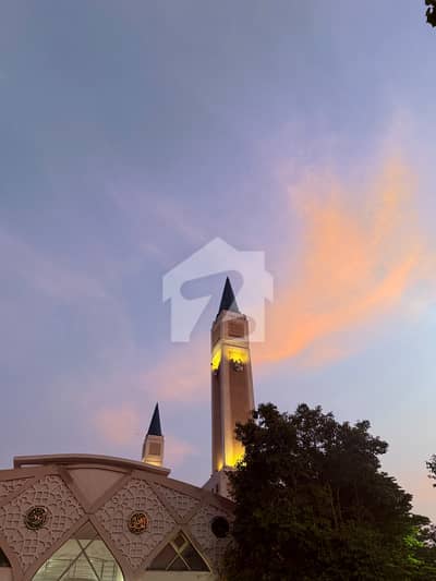 10 Marla 80 feet road plot for sale beautiful location best opportunity for living and investment 10 Marla 80 feet road plot for sale beautiful location best opportunity for living and investment