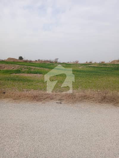 Sun Face 25x50 Level Possessionable Plot