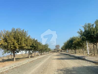 Gulberg Green 5 Kanal Cutting Land Farm House Available For Sale Gulberg Green 5 Kanal Cutting Land Farm House Available For Sale