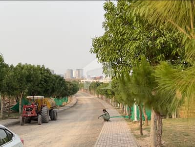 Gulberg Green Block B 220 Series 05 Kanal Possession Able Plot Available For Sale Gulberg Green Block B 220 Series 05 Kanal Possession Able Plot Available For Sale