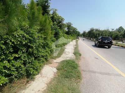 4800 Square Feet Commercial Plot In G-8 For Sale At Good Location