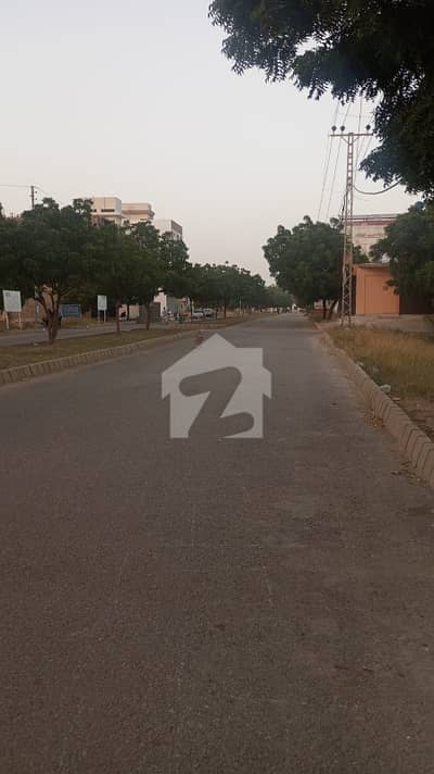 Best Opportunity For Residential Investment Purpose Plot