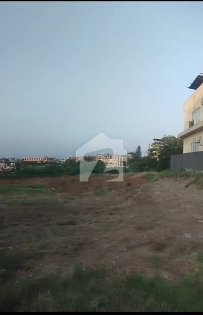 32MARLA BEST LOCATION PLOTS AVAILABLE FOR SALE