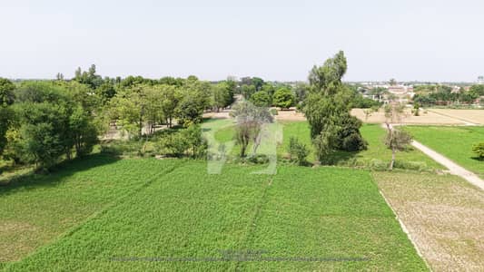 20 Acer Fully Agriculture Land For Sale at Link Khurrianwala To jarranwala Road Faisalabad Punjab
