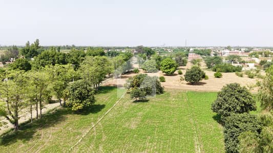 34 Acer Fully Agriculture Land For Sale At Link Samundri Road Faisalabad