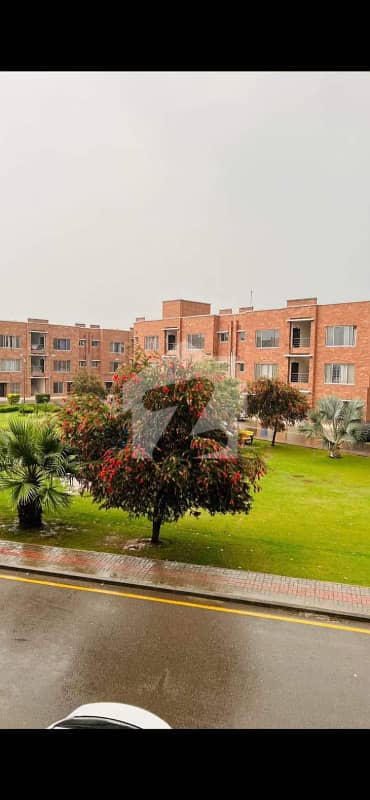 Bahria Orchard 5 Marla 2 Bed Room Luxury For Rent D Block Awami Villa